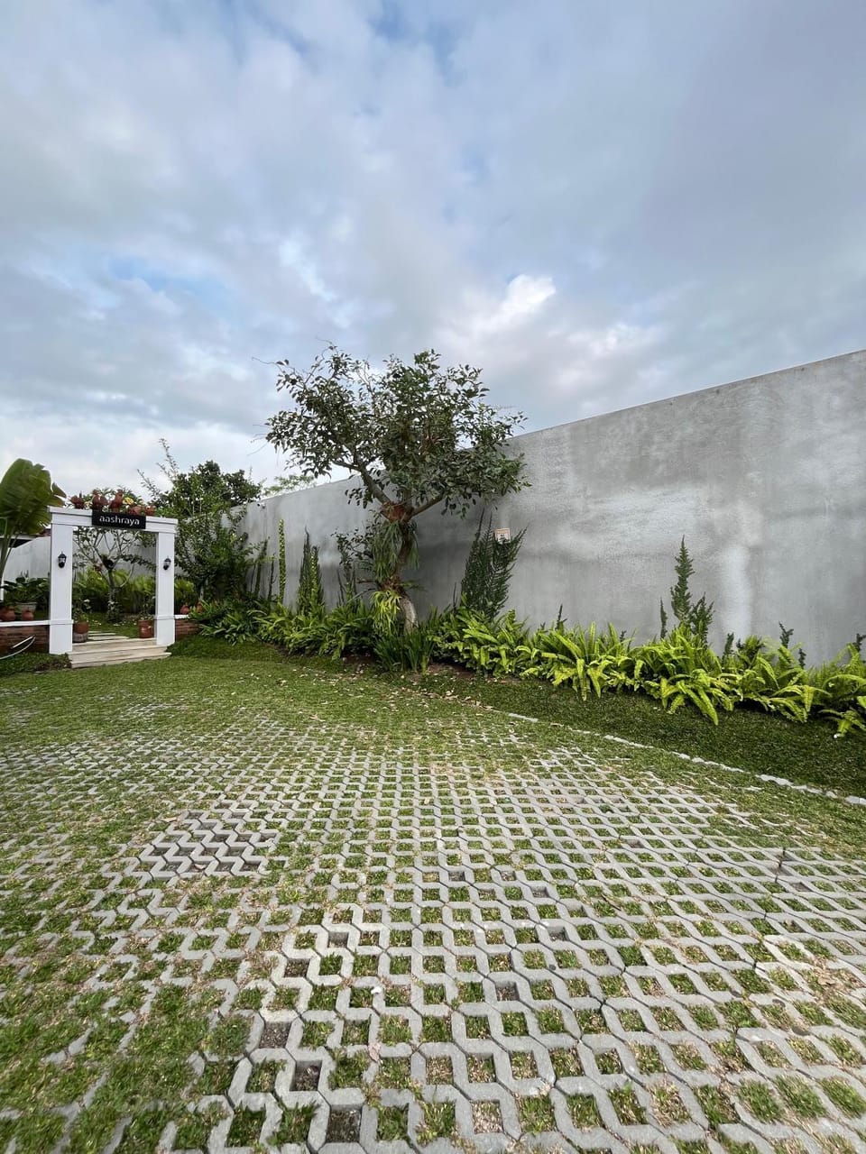 Day, Natural landscape, Garden, Garden, Garden view