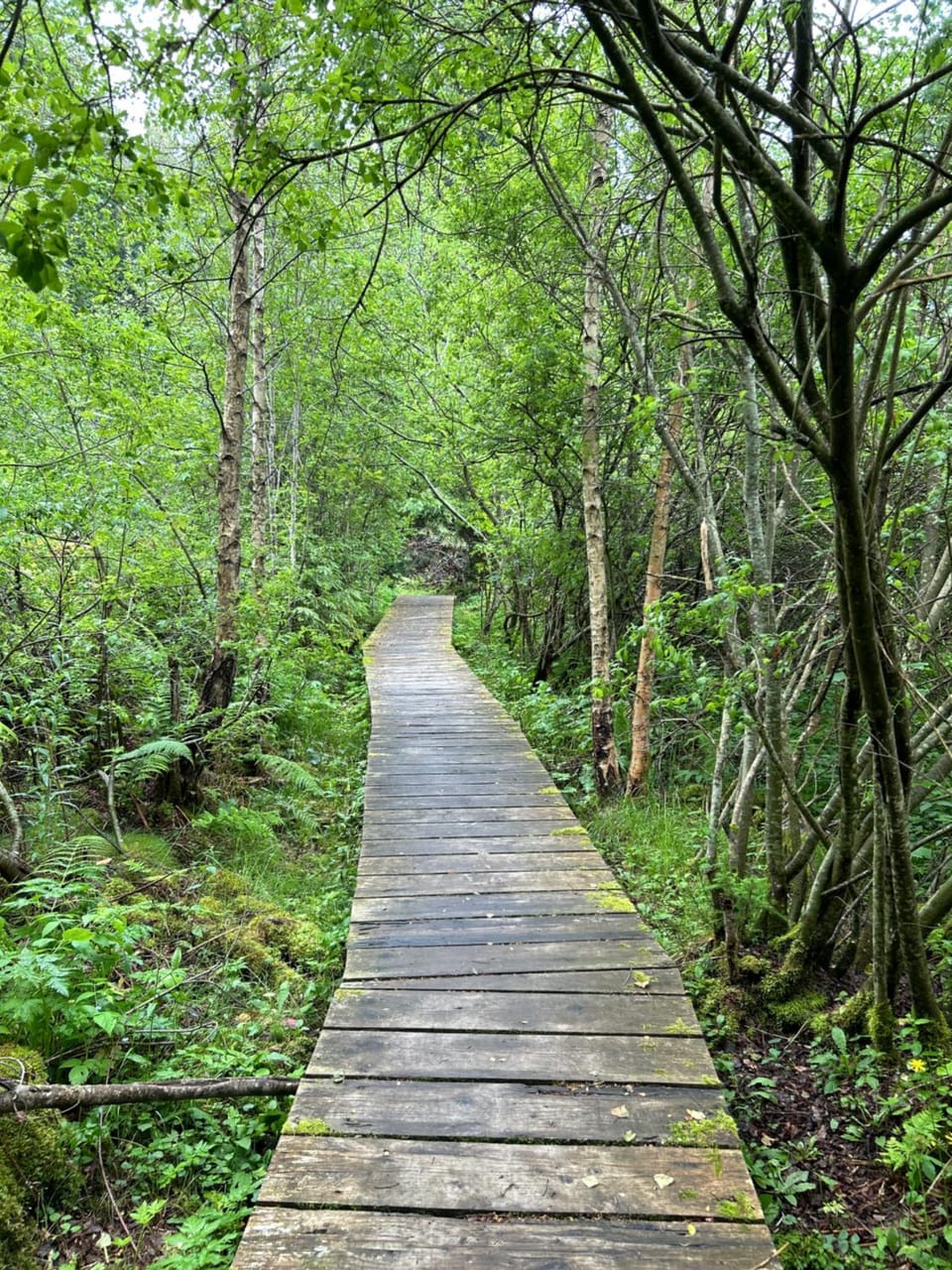Natural landscape