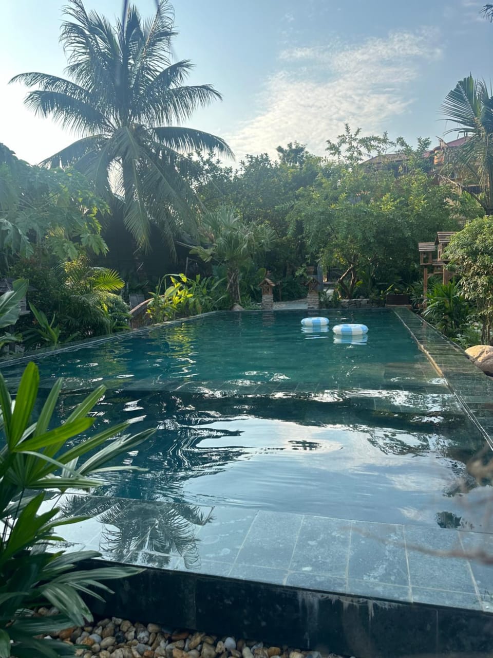 Natural landscape, Garden, Swimming pool