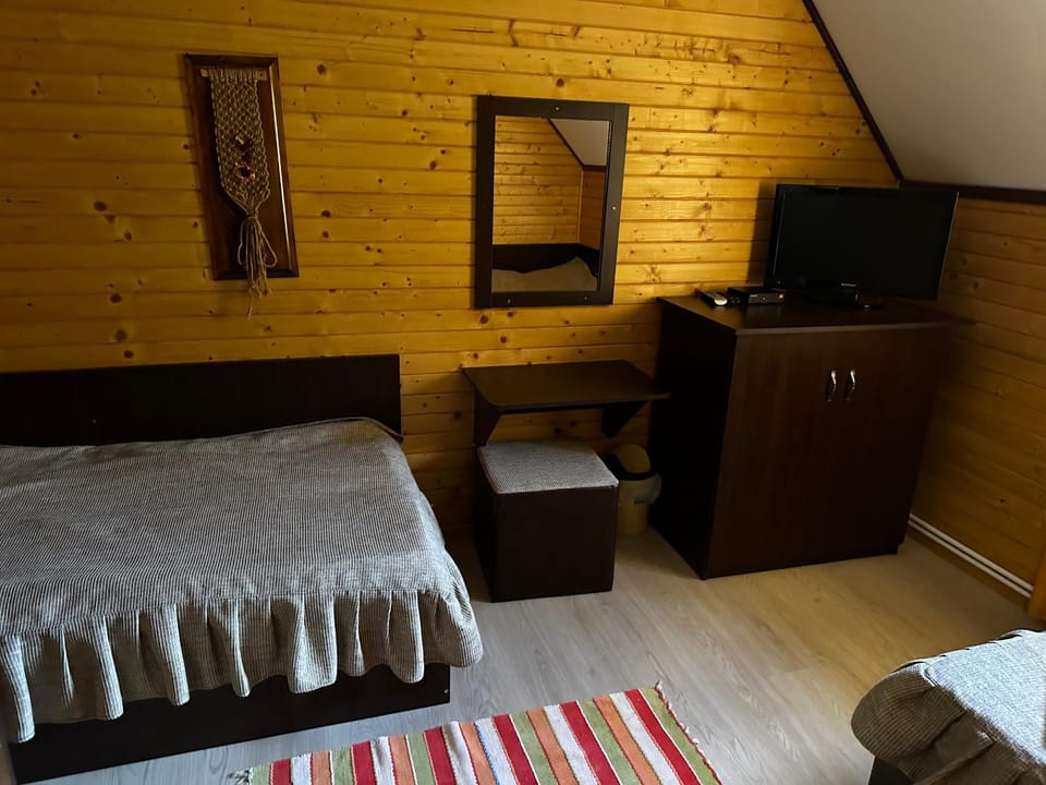Panoramic Apart Lepsa House in Romania