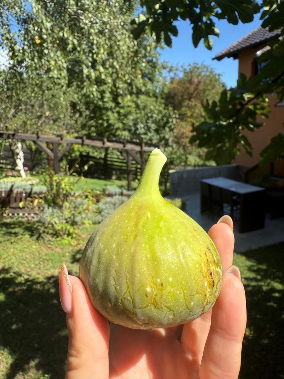 Rural vacation house Greenville - Entire propery House in Slovenia