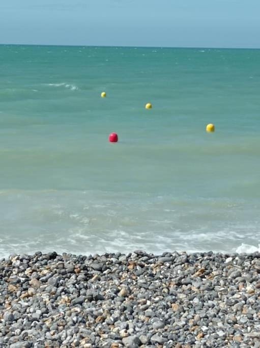 Polilla - Central et cosy Apartment in Dieppe