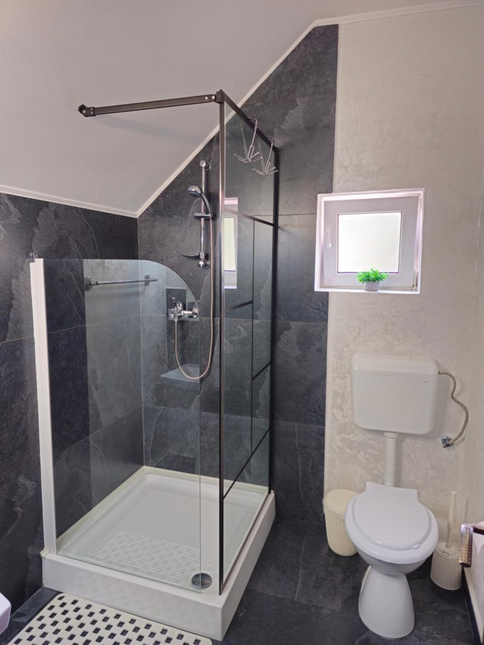 Shower, Toilet