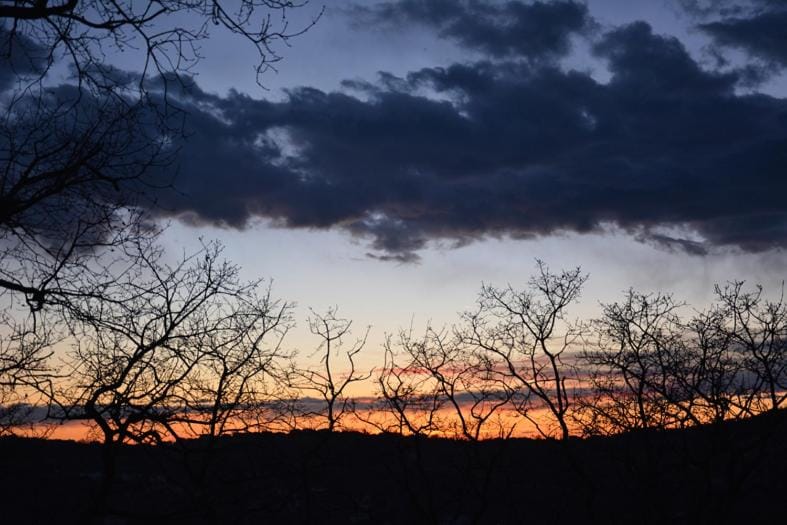 Garden, Sunset