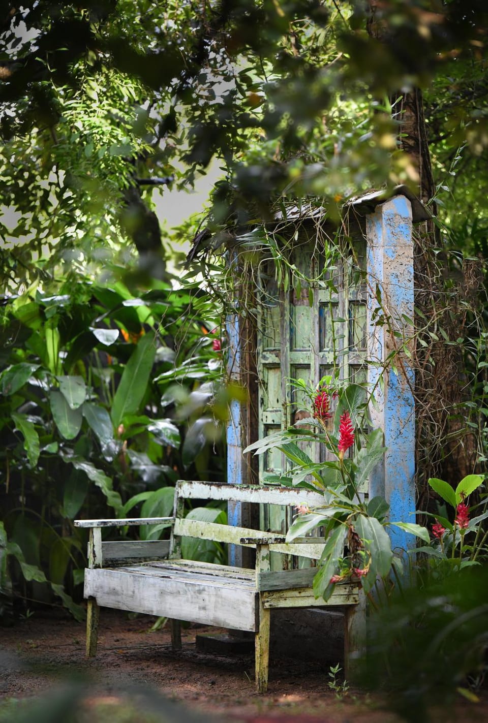 Garden, Garden view