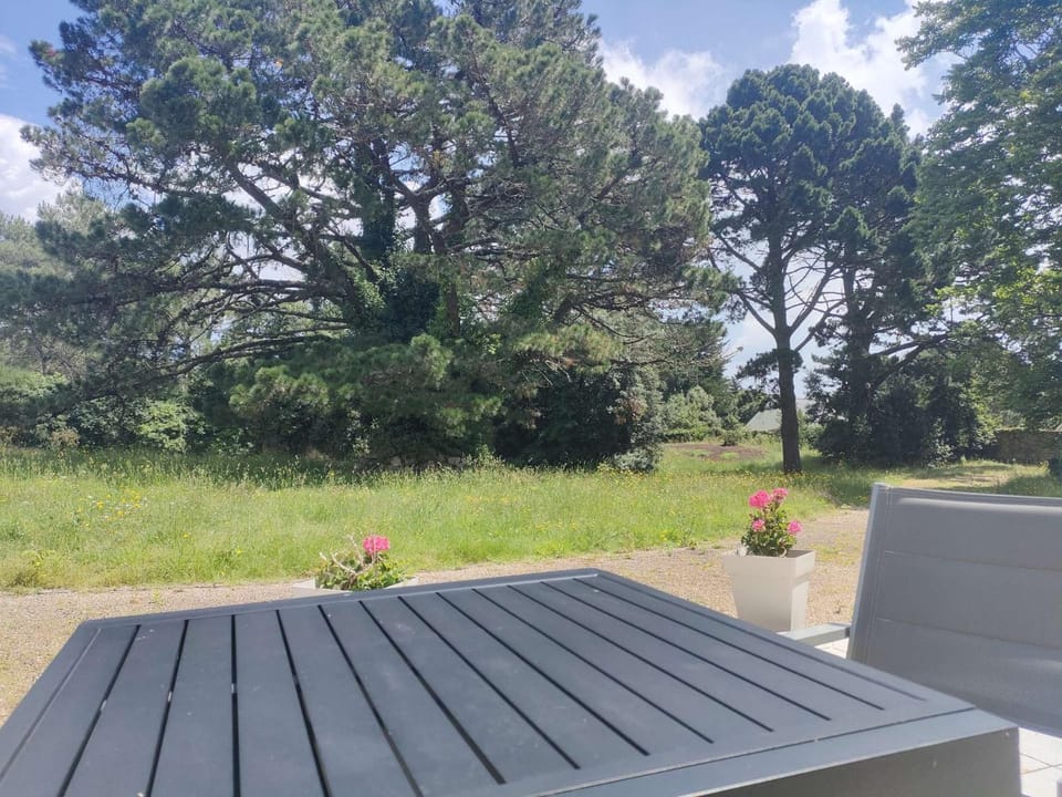 Spring, Day, Garden, Garden view
