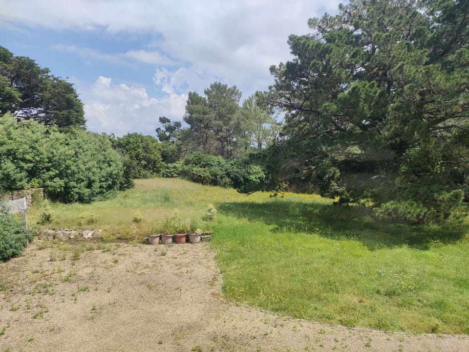 Spring, Day, Garden, Garden view