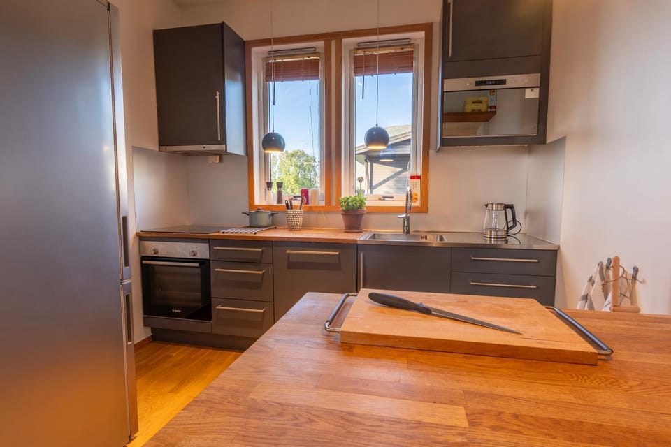 Kitchen or kitchenette, dishwasher, stove