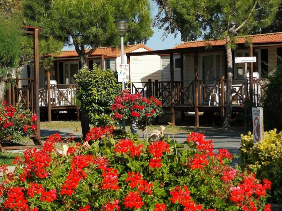 Property building, Garden view