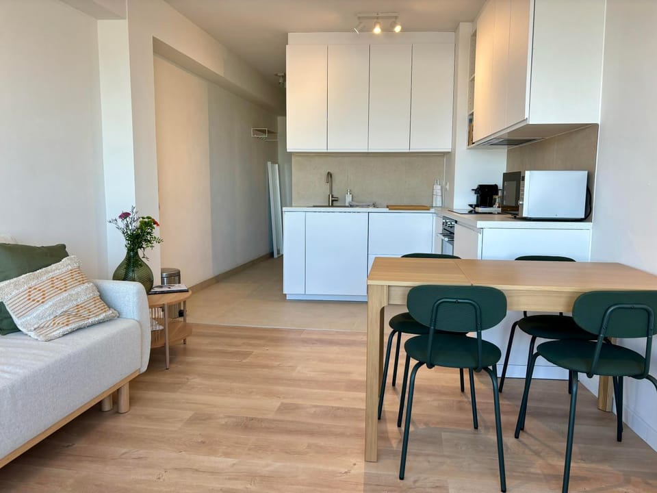 La brise et la mer- frontaal zeezicht! Apartment in Ostend