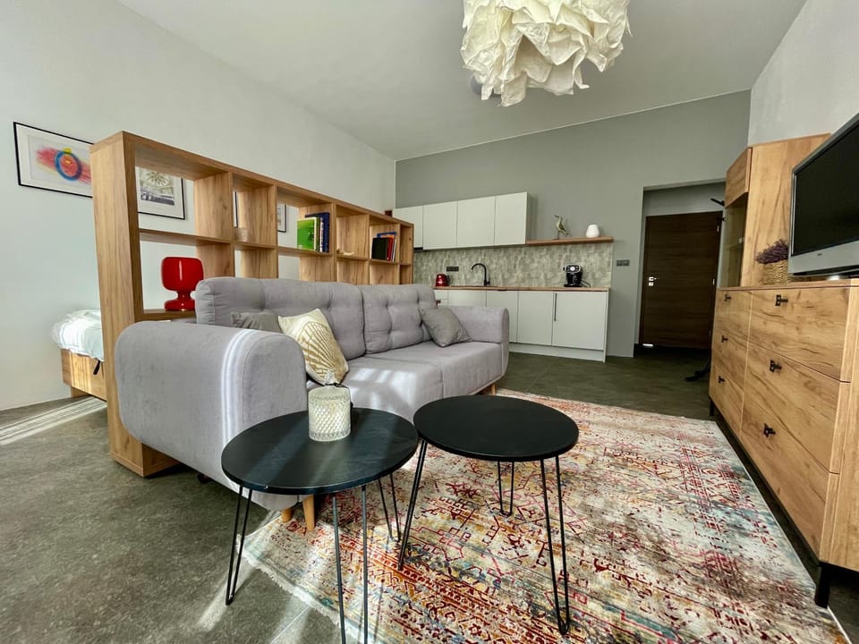 Apartment Center Zilina near Train and Bus station Apartment in Slovakia