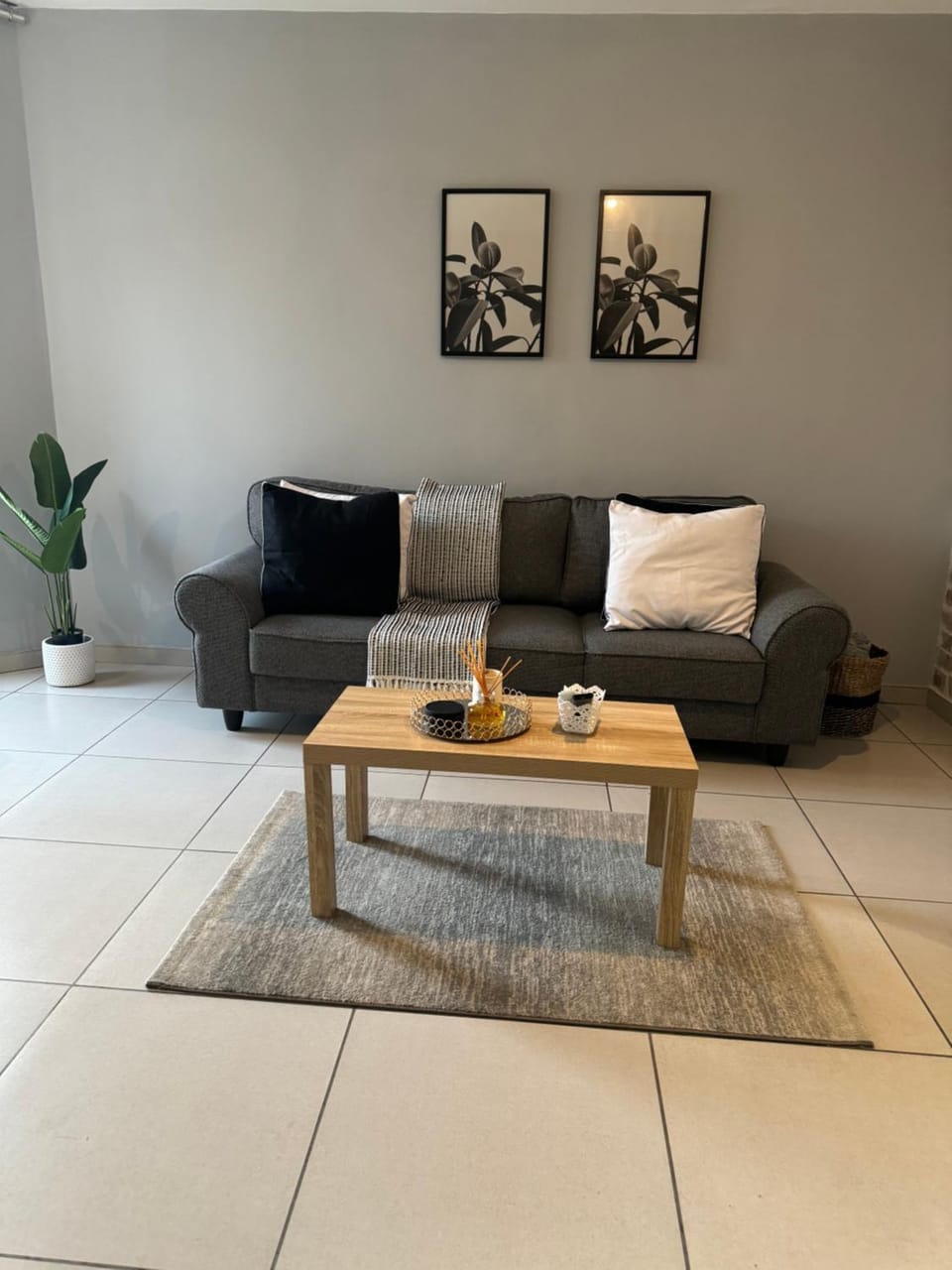Wild Olive HostingEA Apartment in Windhoek
