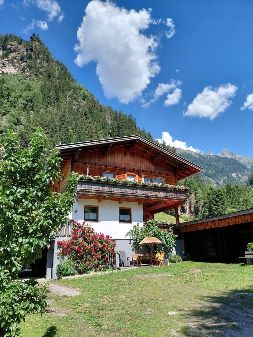 Property building