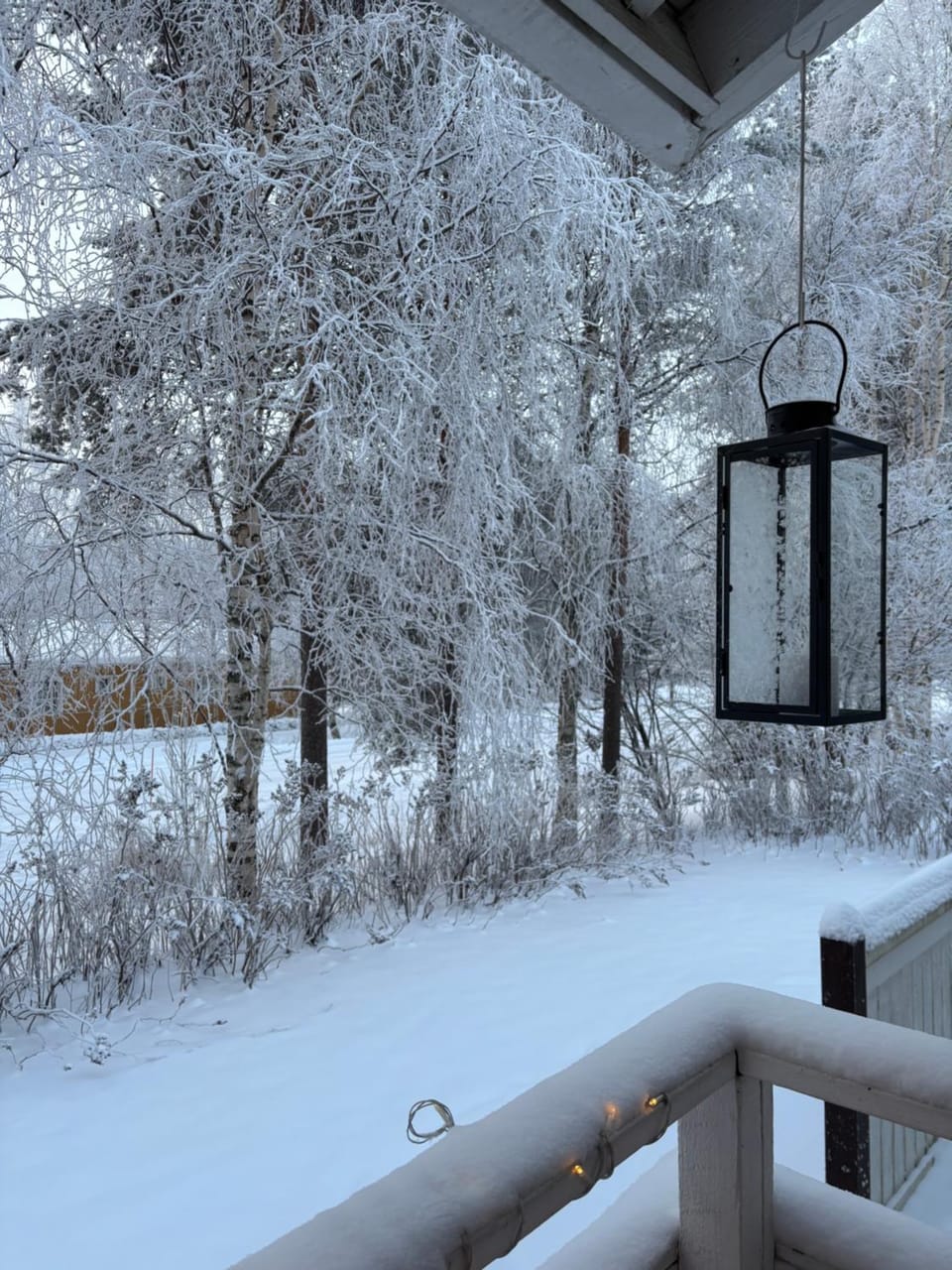 Day, Winter