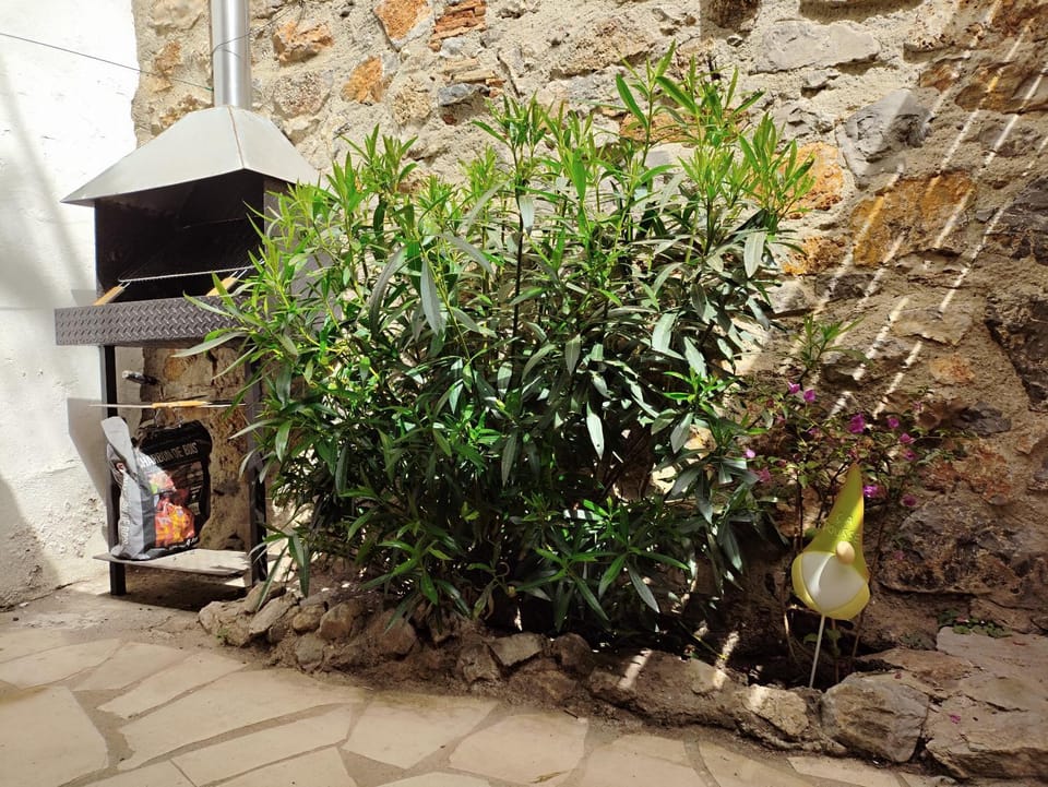 Patio, BBQ facilities