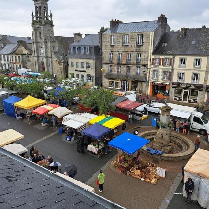 Centre Ville Loft Apartment in Finistere