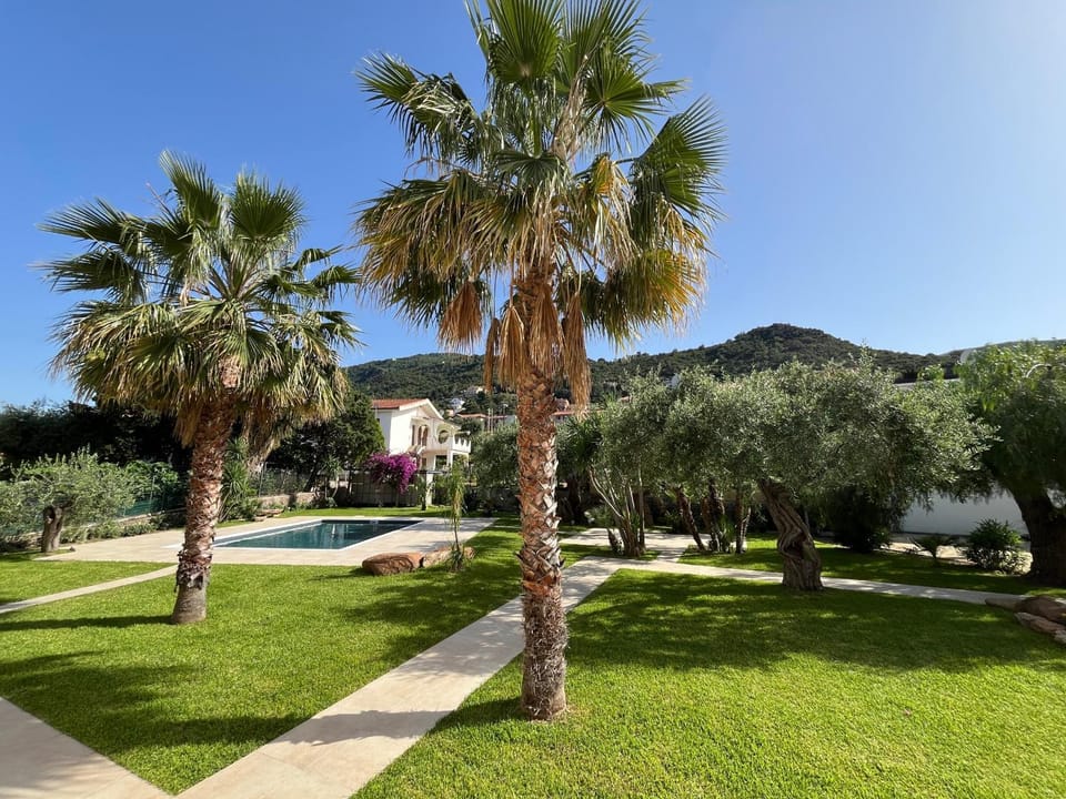 Garden, Swimming pool