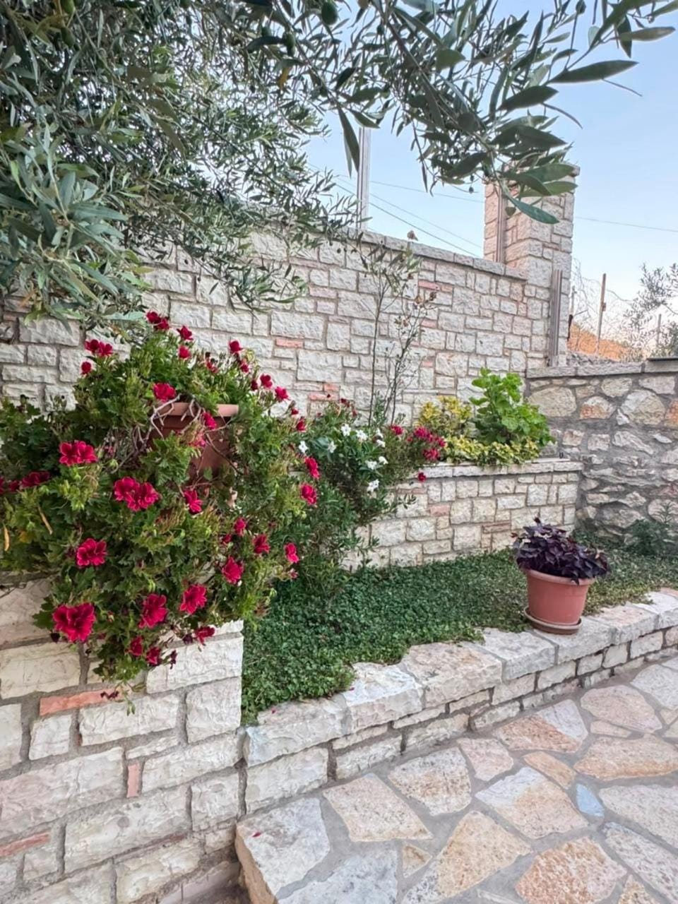 Spring, Day, Garden, Garden view