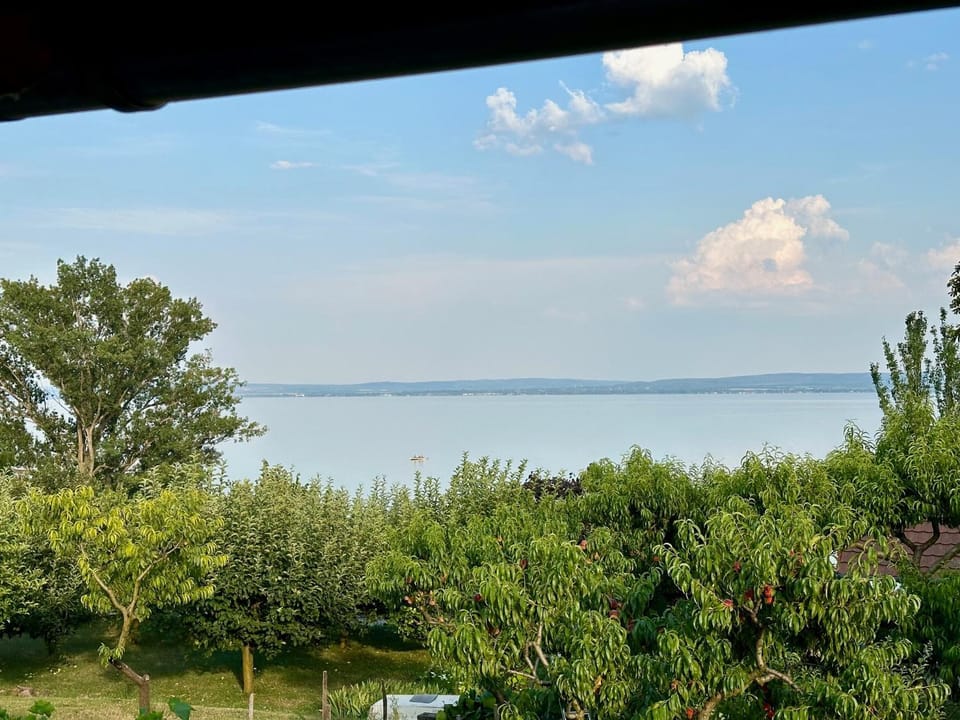 Lake view