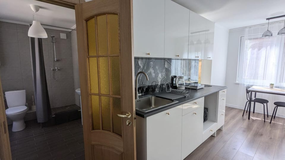 Pine forest house 4 Apartment in Latvia