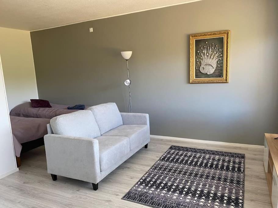 Viihtyisä huoneisto lähellä palveluita Apartment in Finland