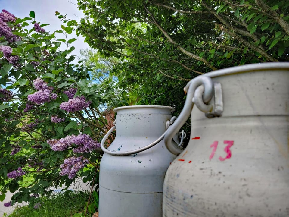 Spring, Garden