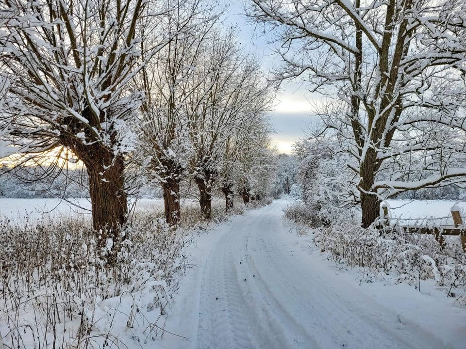 Natural landscape, Winter