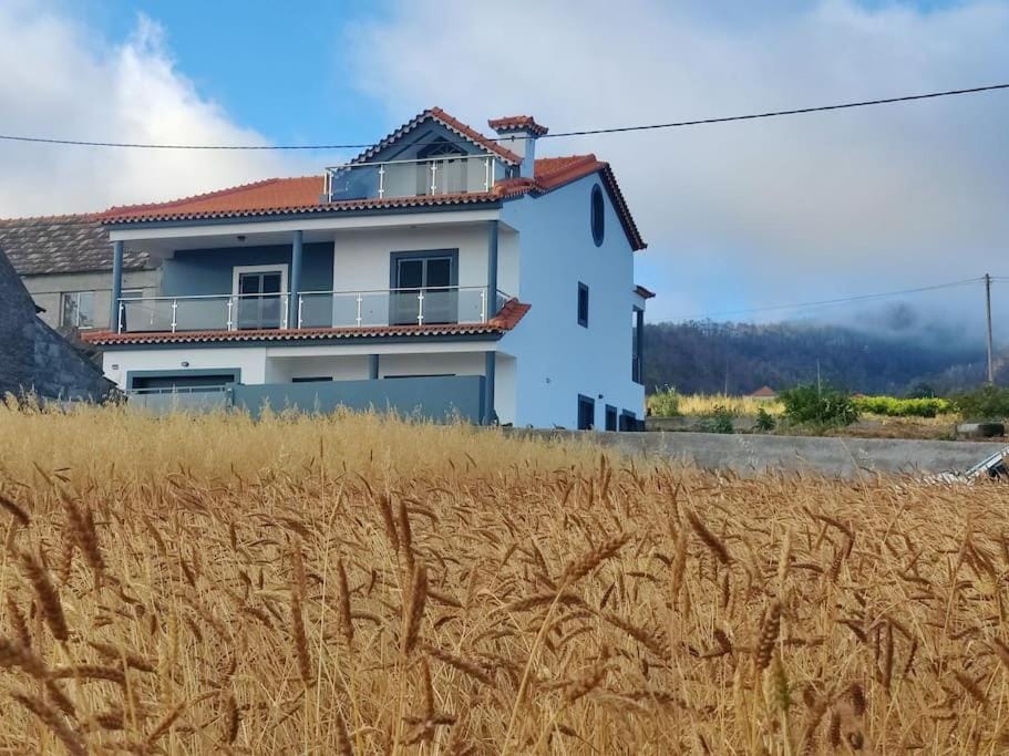 Casa Neto Jardim House in Madeira District
