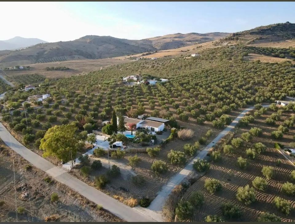 Property building, Day, Neighbourhood, Natural landscape, Bird's eye view, View (from property/room), Mountain view