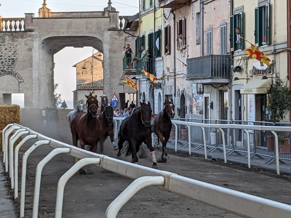 Horse-riding, Animals, Landmark view
