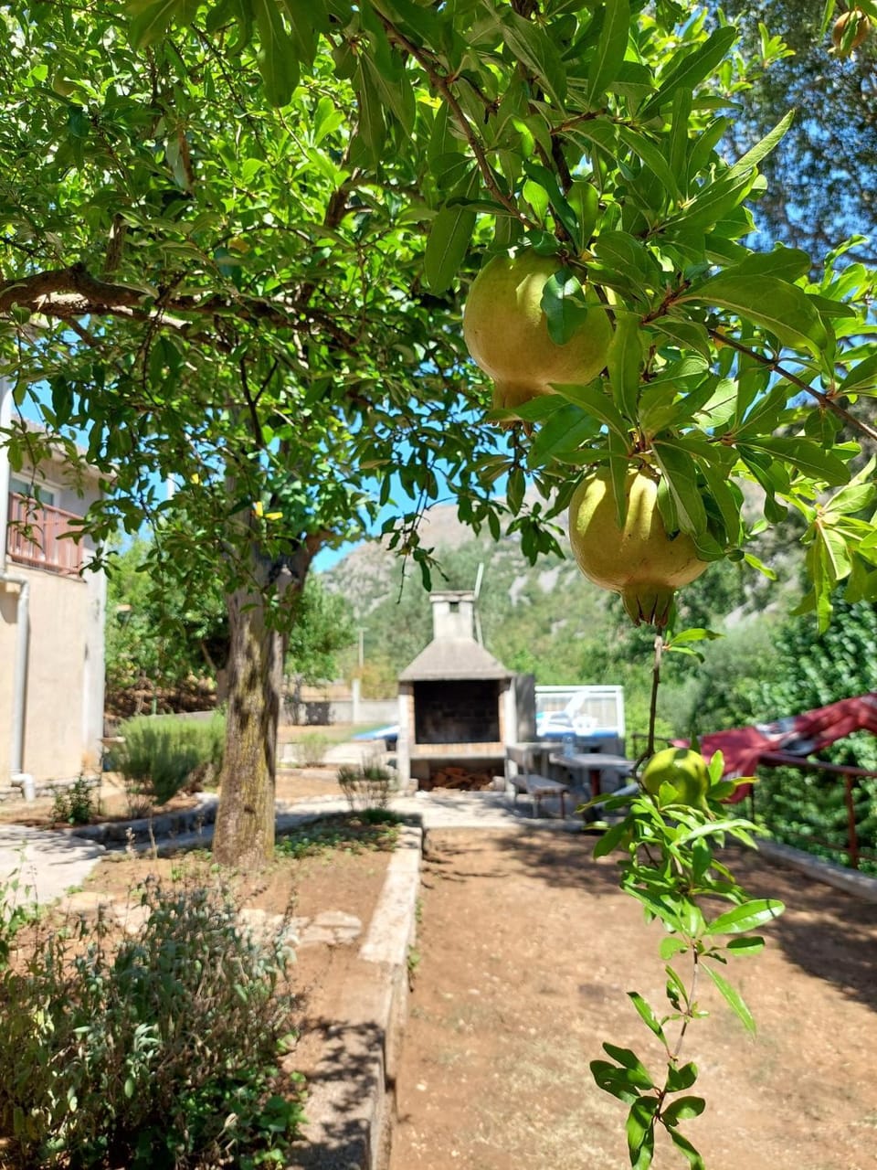 Natural landscape, BBQ facilities, Garden