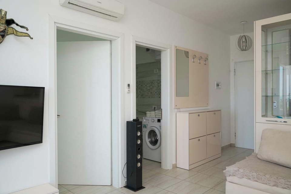 TV and multimedia, washing machine, air conditioner
