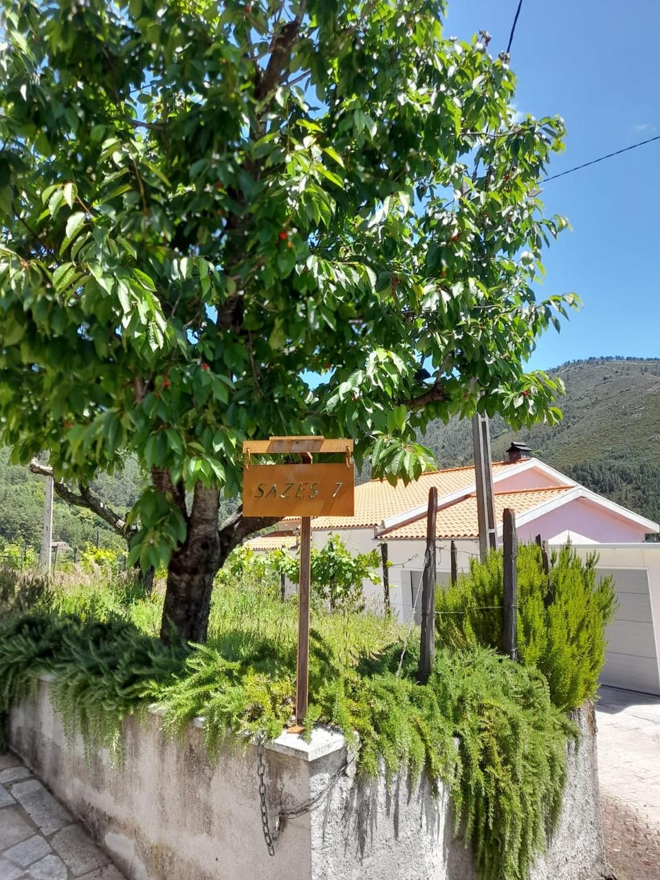 Garden view