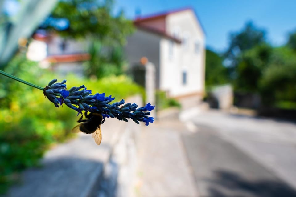 Lumos Residence - Free private parking Apartment in Rijeka