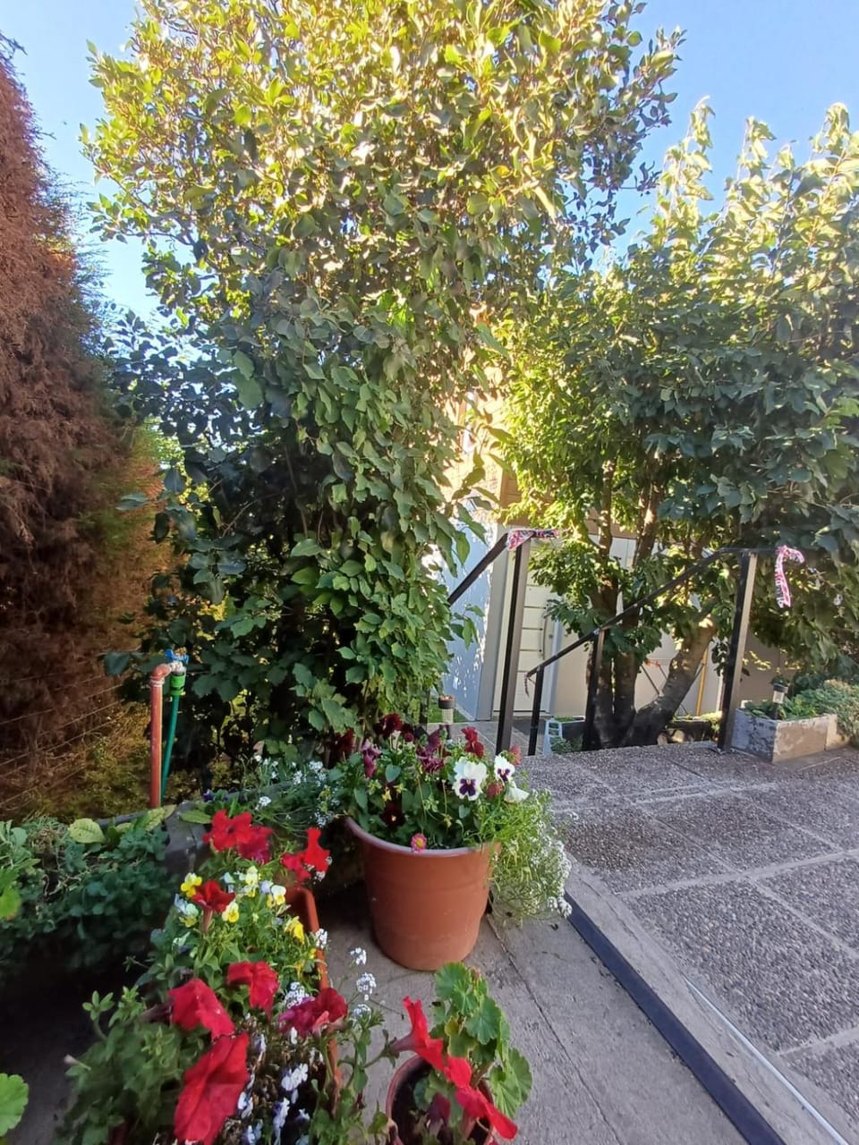 Facade/entrance, Garden