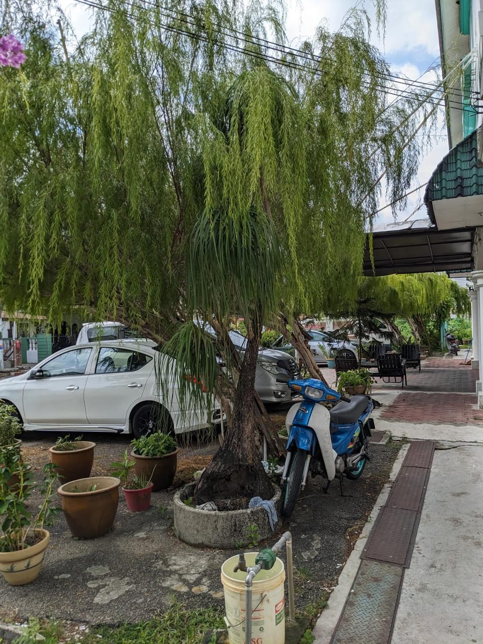 Spring, Day, Garden, Garden view, Location, Parking