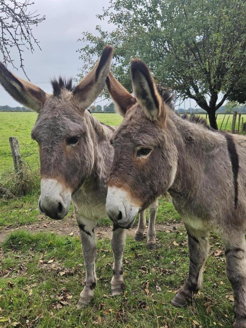 Gite du theil au servant House in Centre-Val de Loire