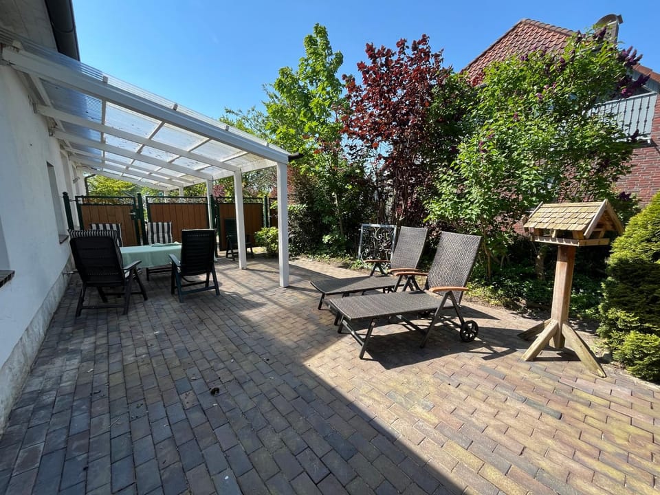 Garden, Garden view, sunbed