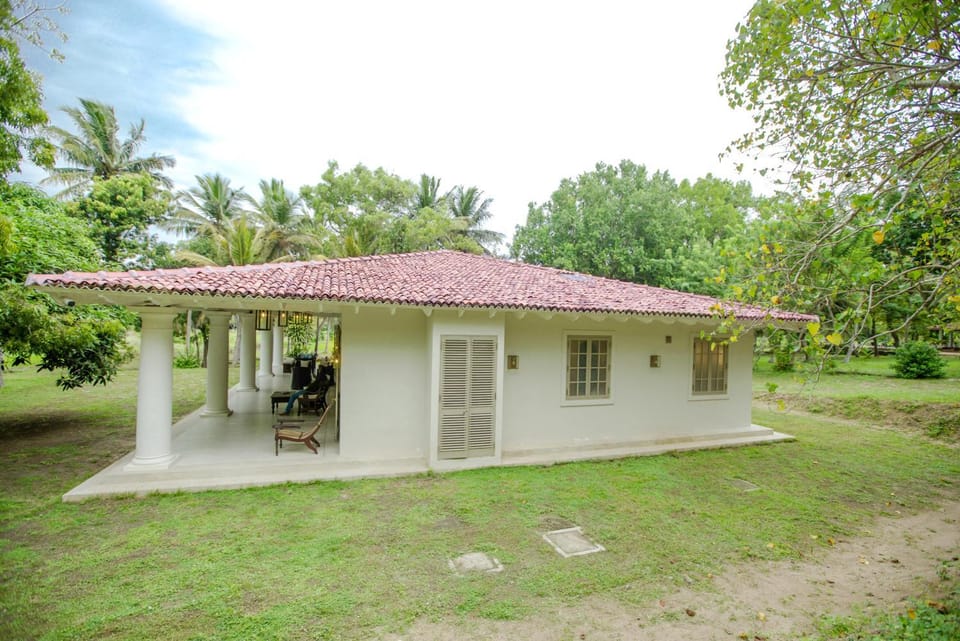 Property building, Garden view