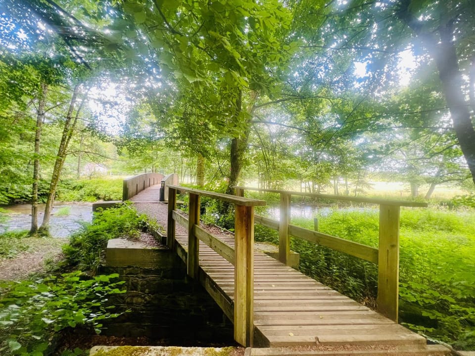 Spring, Natural landscape
