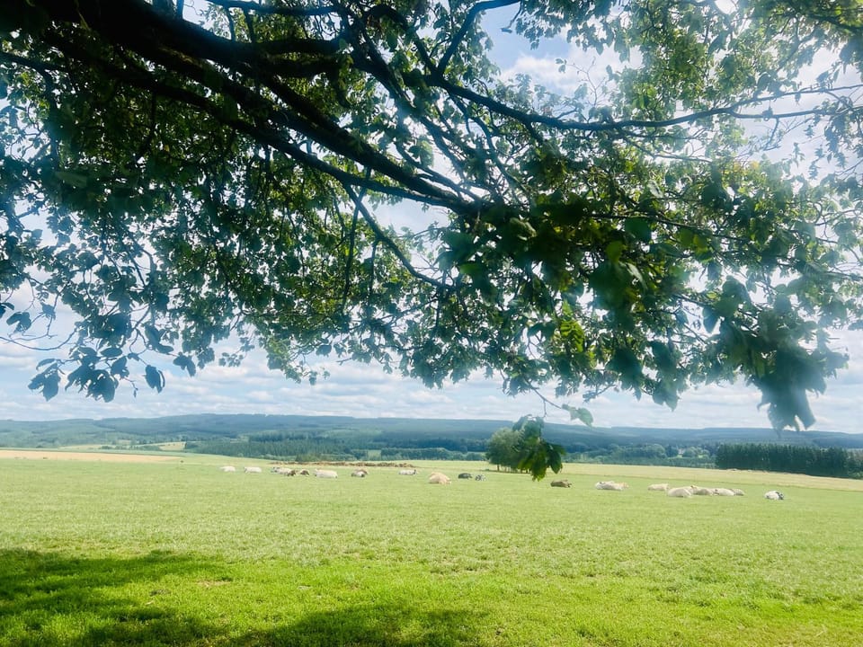 Natural landscape