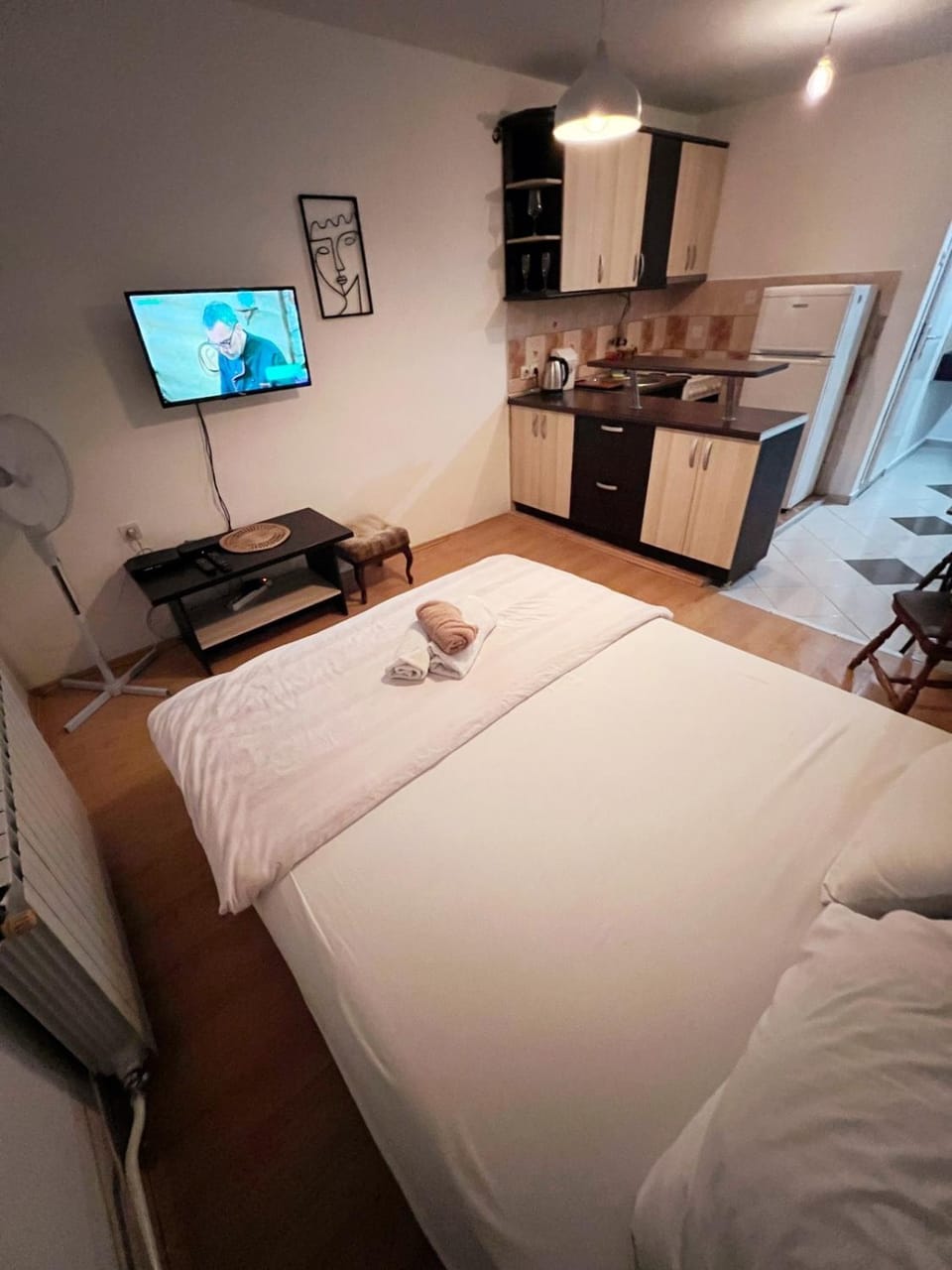 Sany Apartment in Skopje