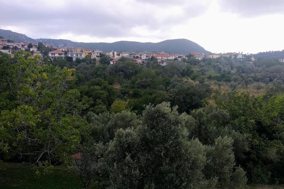 Green Garden appartment with mountain view, Vitala House in Euboea