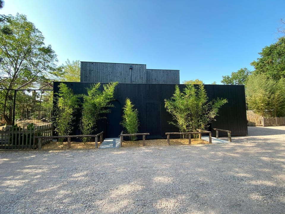 Property building, Spring, Day, Natural landscape, Garden, View (from property/room), Garden view