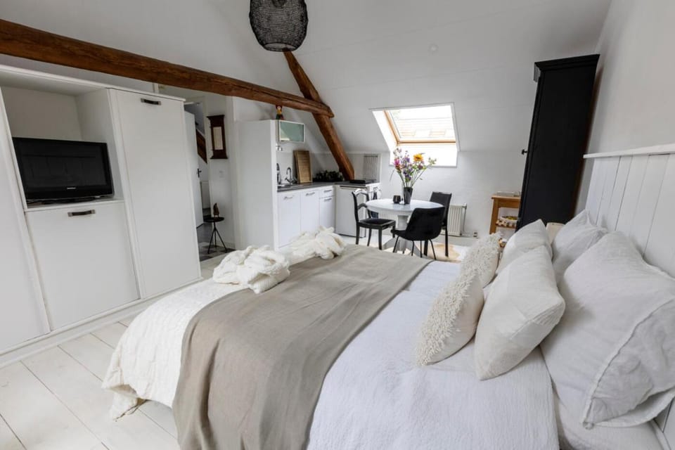 Bed, TV and multimedia, Kitchen or kitchenette, Photo of the whole room, Seating area, Bedroom