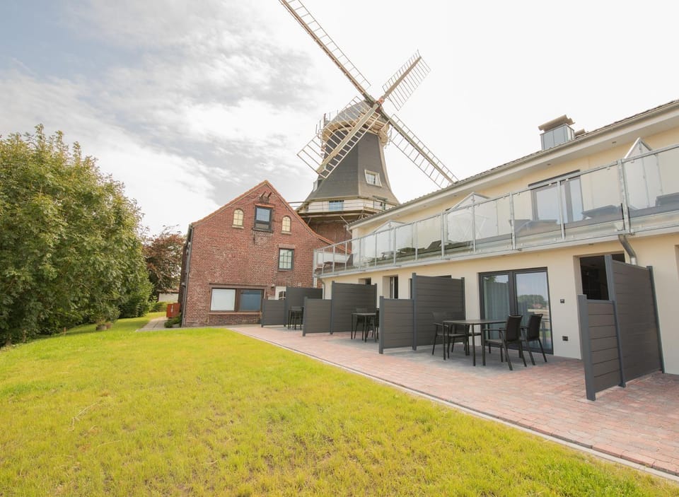 Property building, Garden, Garden view