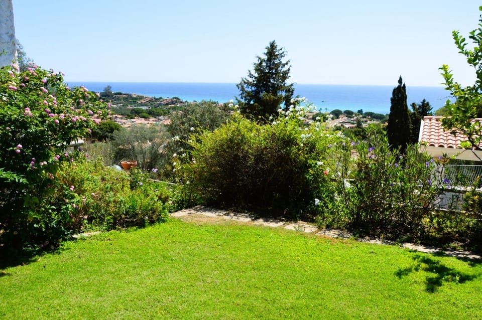 Natural landscape, Garden, Sea view