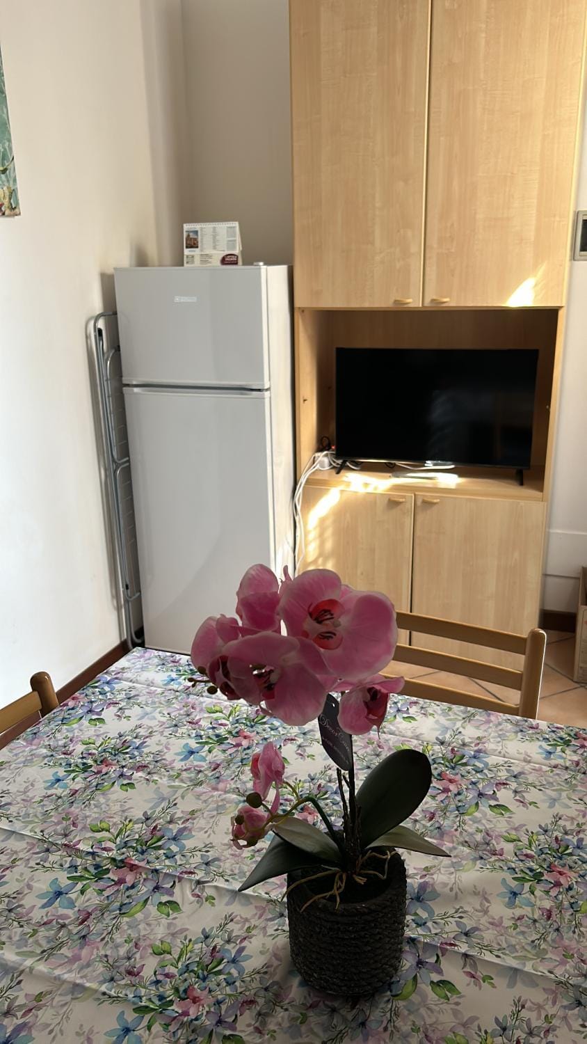 Cavour 58 Apartment in Alessandria