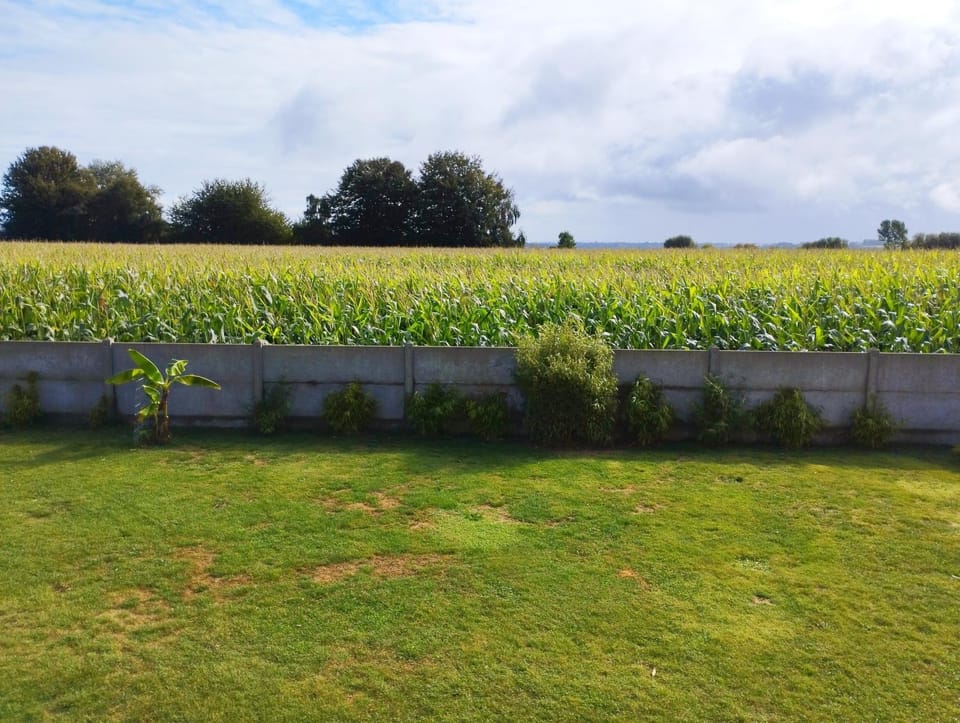 Studio avec jardin classé meublé de tourisme 2 étoiles Apartment in Plérin