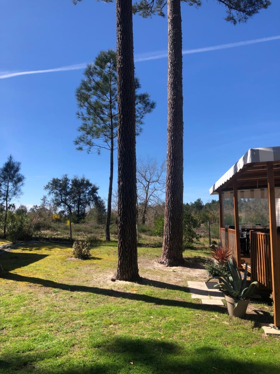 Natural landscape, View (from property/room)